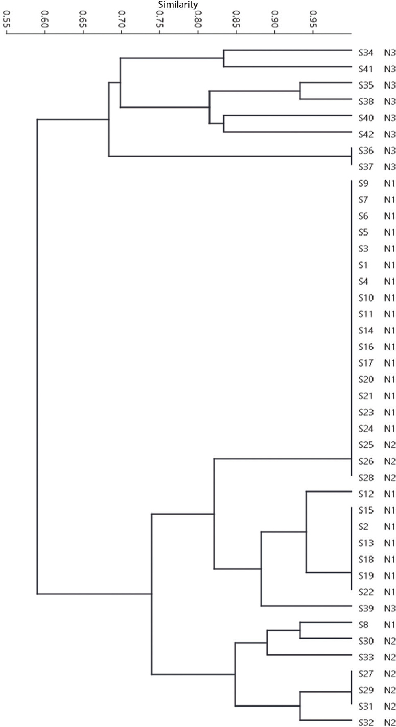 Unweighted pair group method using arithmetic averages dendrograms at 90 per cent similarity level of the studied Salmonella serotype Typhi isolates derived from amplification patterns using enterobacterial repetitive intergenic consensus-polymerase chain reaction (ERIC-PCR). S and N numbers indicate isolate and neighbourhood numbers, respectively.